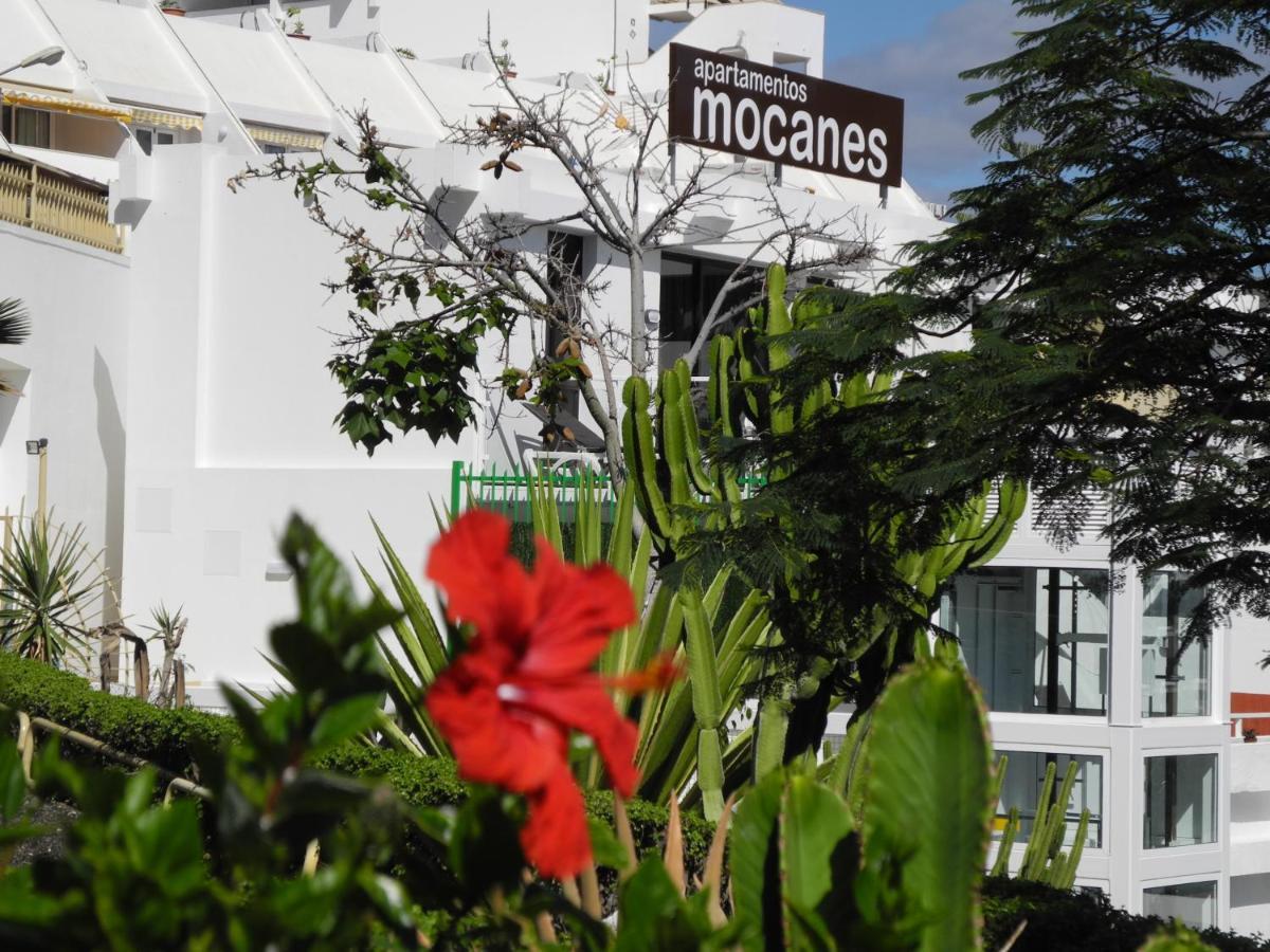 Apartamentos Los Mocanes Puerto Rico  Bagian luar foto